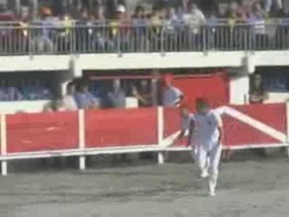 Trophée de la Mer du Grau-du-Roi (Course camarguaise)