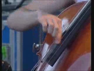 Walabix en concert (juin 2009)