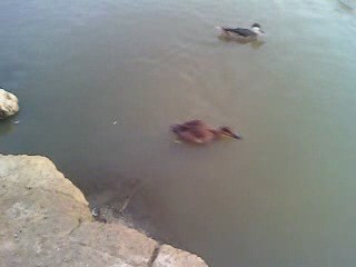 parc ornithologique vacances sud