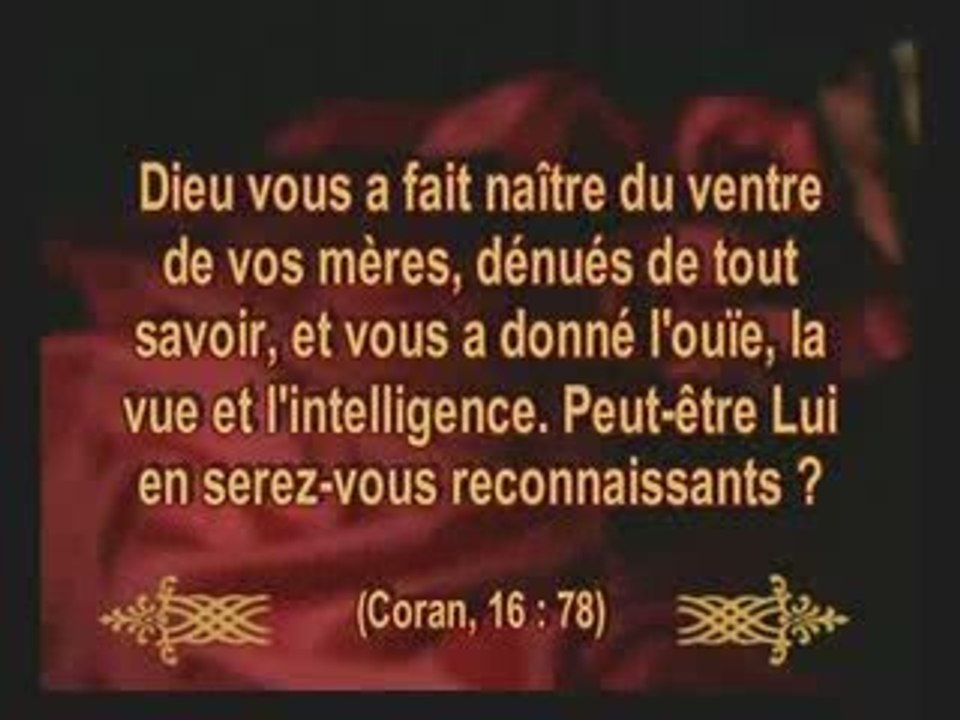 Miracles du Coran, Le Développement des Organes Humains