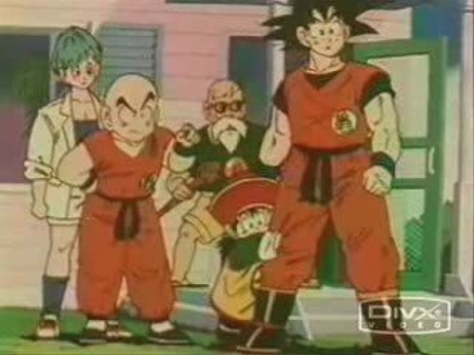 Dragon Ball Q