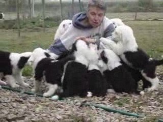 BEBES CLYDWYN/EL AMIGO  SEPTEMBRE 2009