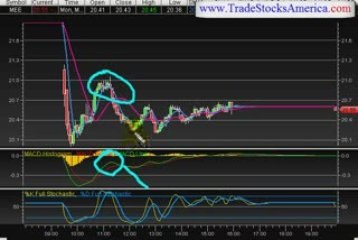 stock market trading newsletter