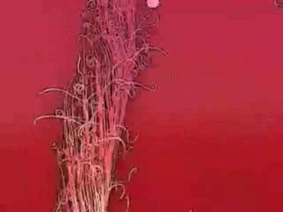 Madonna - Get Together