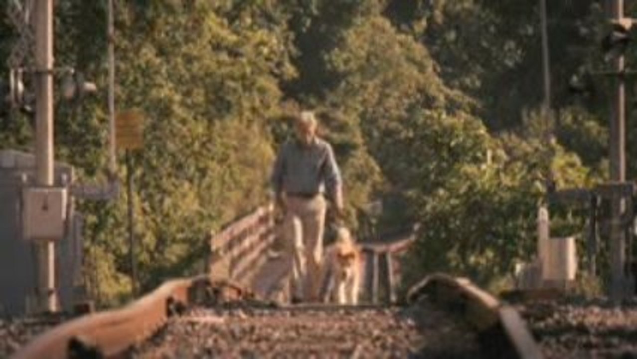 Hachiko - Eine wunderbare Freundschaft