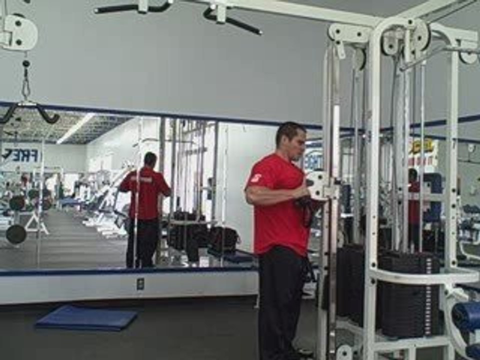 Killer Exercise For The Upper Back Workout