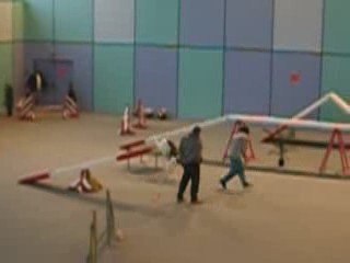 Vanouchka en concours d'agility