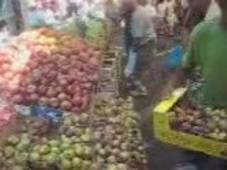 MARCHER DE NATANYA FREDDY GALULA