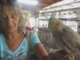 LA FERME DE PERROQUETS EN ISRAEL FREDDY GALULA