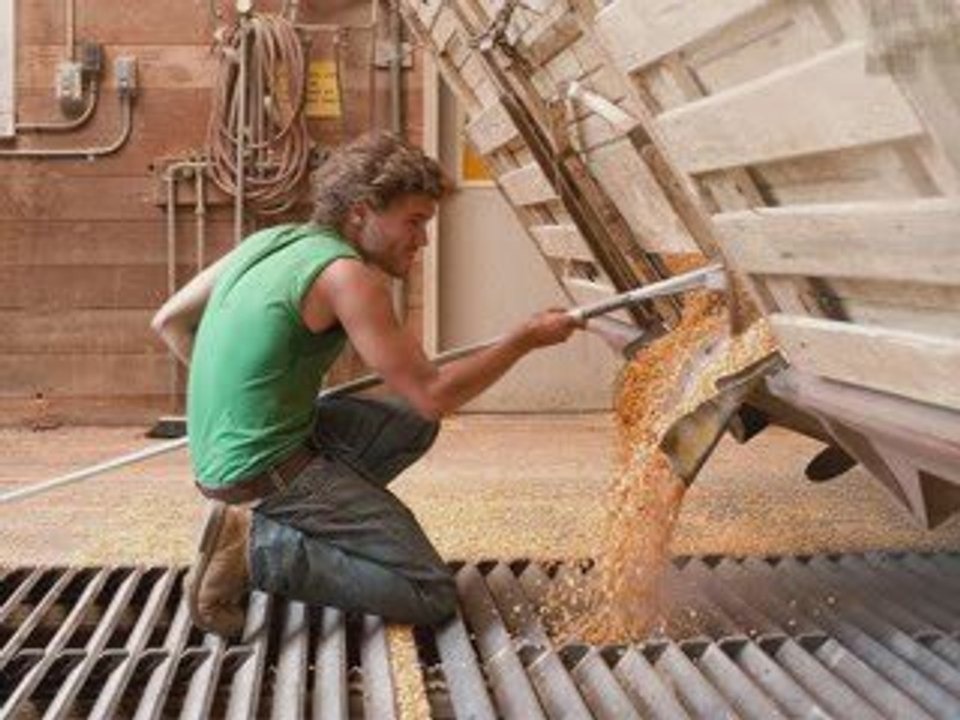 Society - Into the Wild - Eddie Vedder