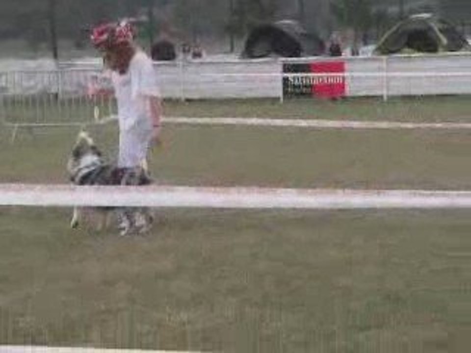 Concours OBR Elinore Cobalt aulnay sous bois