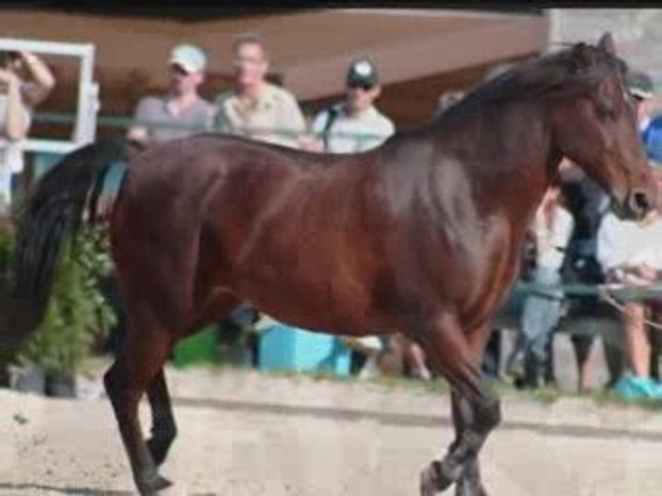 10ème rdv étho la cense 2009 laita