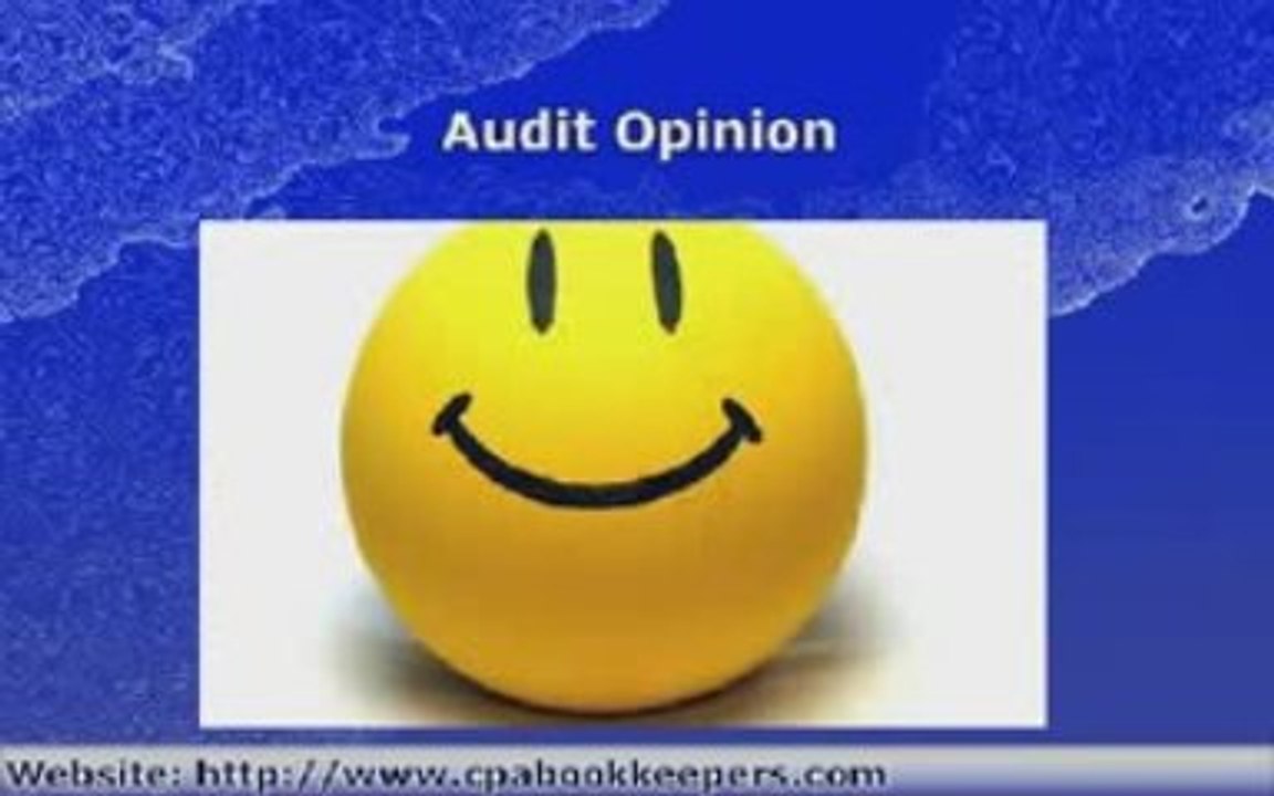 Audited Financial Statements