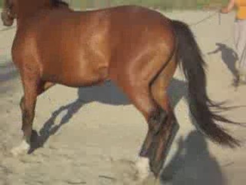 jason en longe main droite