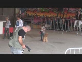 1ere expo mary en musique