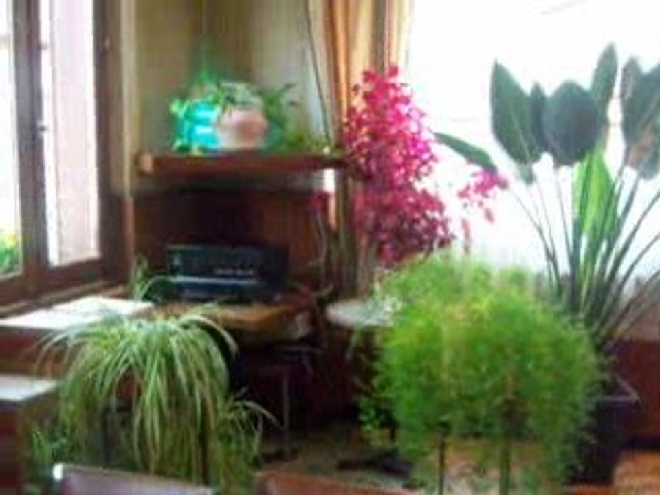 ptit dèj bourbonnais 3