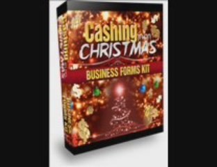 christmas 2010 light installation