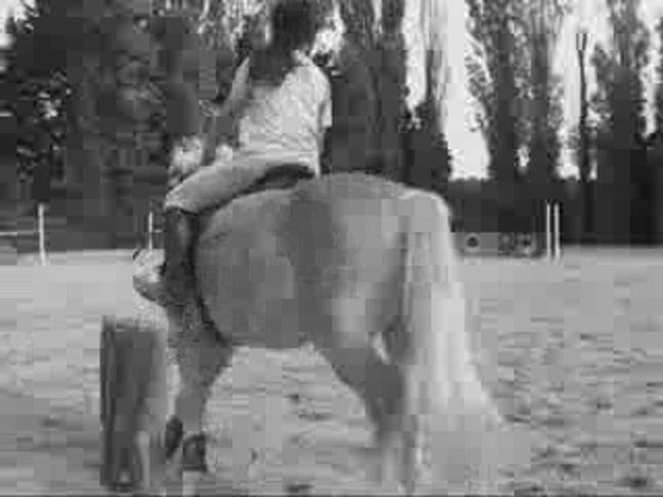 Saut Mystère et moi