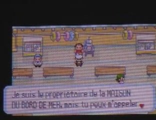 pokemon rubis 13: vamos a la playa!