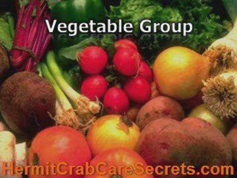 Land Hermit Crabs - 4 Basic Food Groups For Hermit Crabs