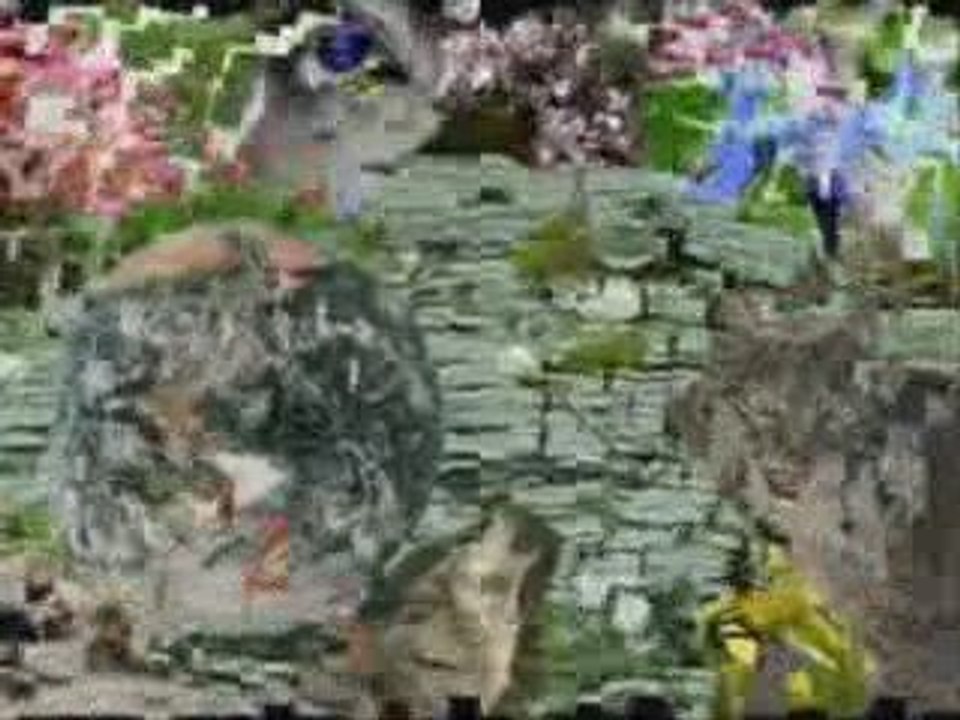 This is the world we live in!!