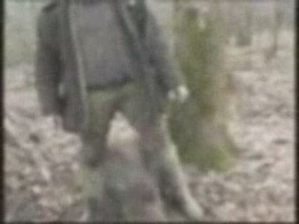 no-hunt
