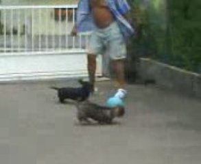 gitane joueuse de foot