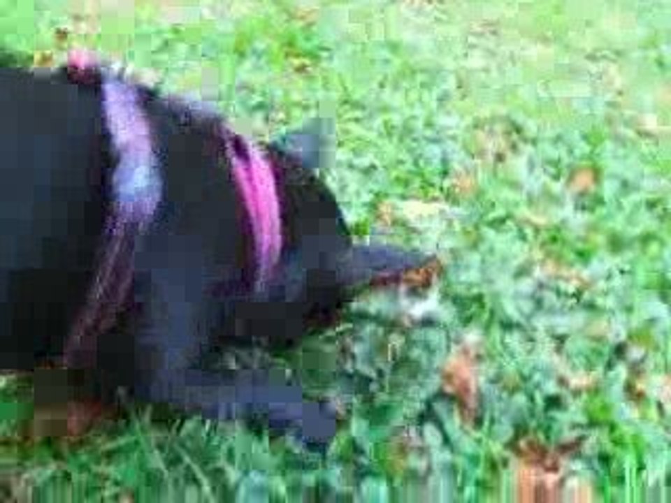 dora a 2ans!!!