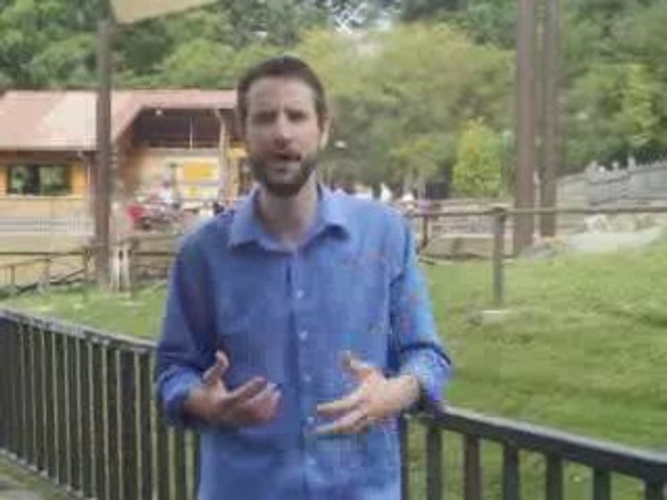 New Photo Contest Explained