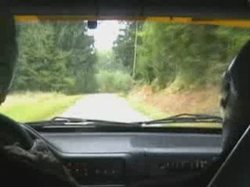 Rallye Vosgien 2009