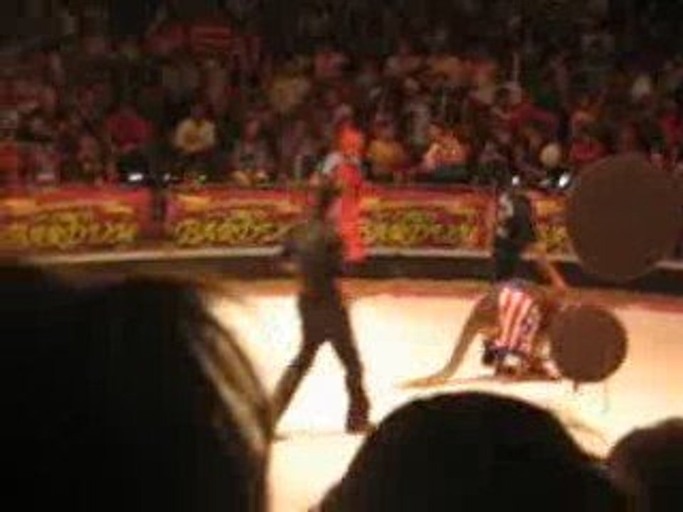 Charloteo 1x14 El Circo Supuestamente Para Niños Parte 2