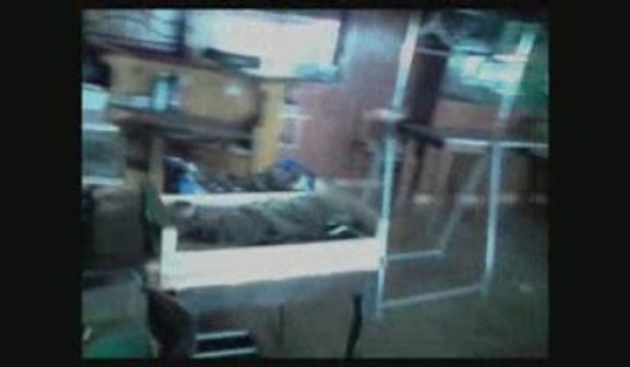 Midnight swim - Paraone - Institubes - Clip