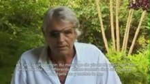 Un maître de Chi et guérisseur extraordinaire