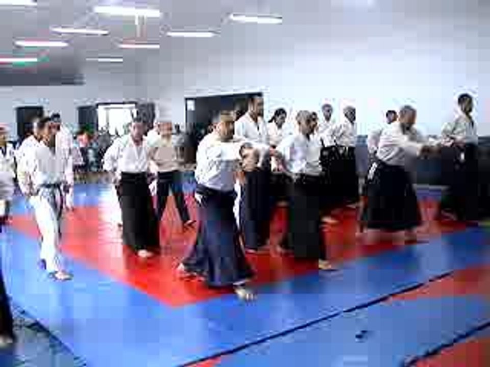 Stage d'aikido le 18/06/2006