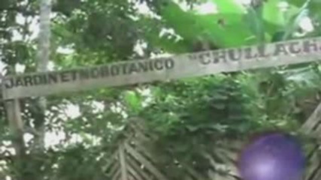 La Tigresa Del Oriente - Nuevo Amanecer