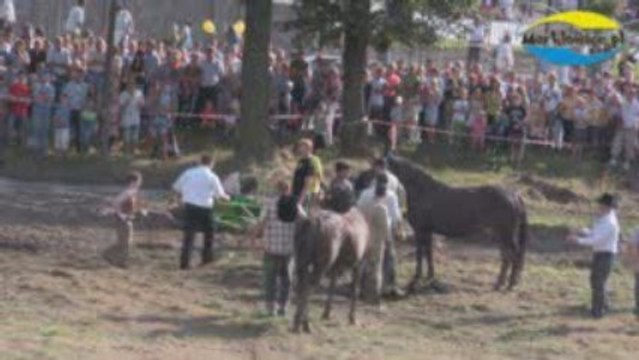 Dożynki 2009 Wyścigi konne cz 2