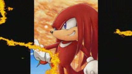 Diapo Knuckles The Echidna