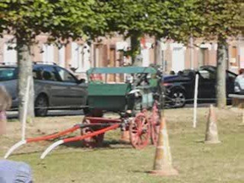 Crèvecoeur  : les enfants se baladent à dos de poney