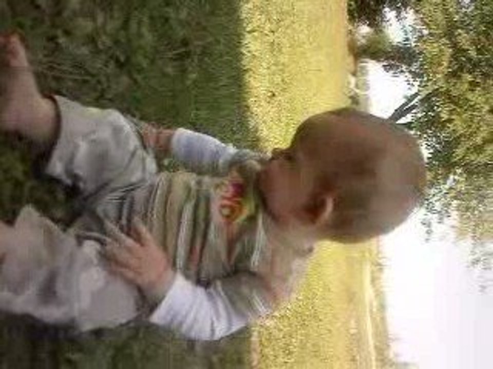Noam et l'herbe