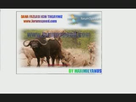 Kıvırcık Ali-Sevdiğim