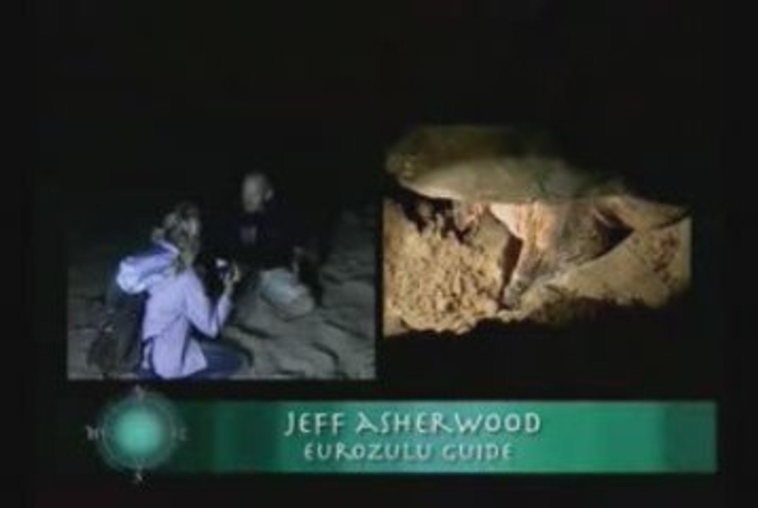 EuroZulus world famous turtle tour / turtle safari