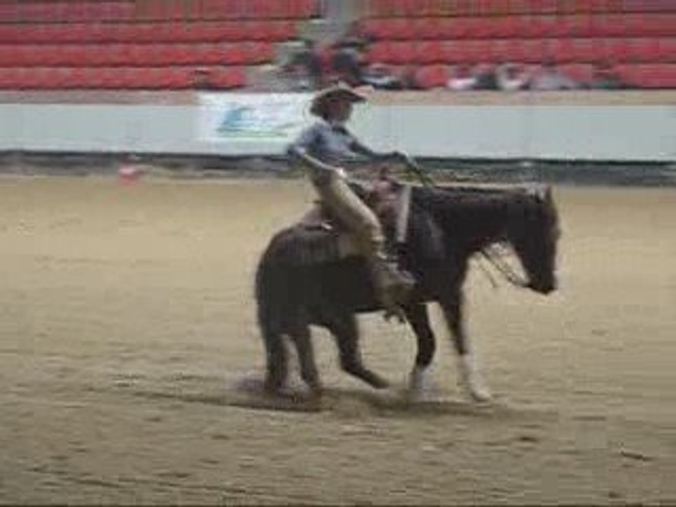 NRHA Belgium step in show 2009