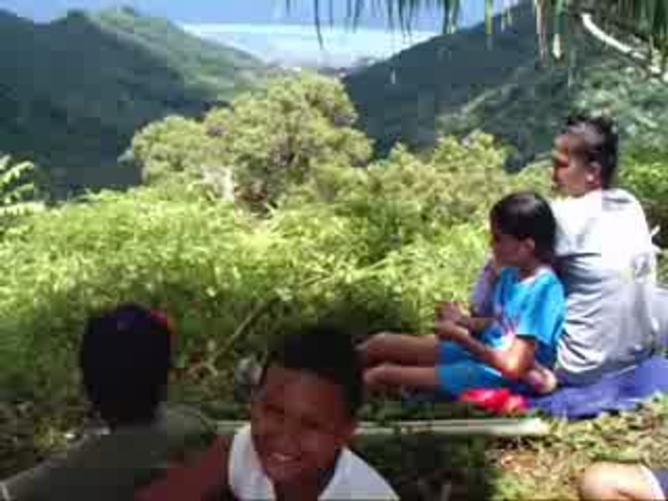 Randonnée Belvedère Moorea