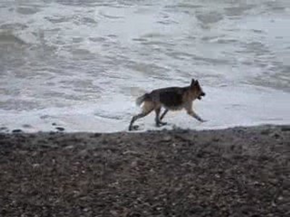 upsie du manoir d'argos