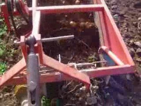 arrachage de pomme de terre