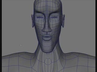 Understanding Hasan Body Topology