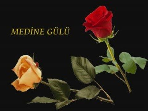 Abdurrahman Önül Medine Gülü 2009