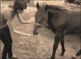Lena - historia pewnego konia