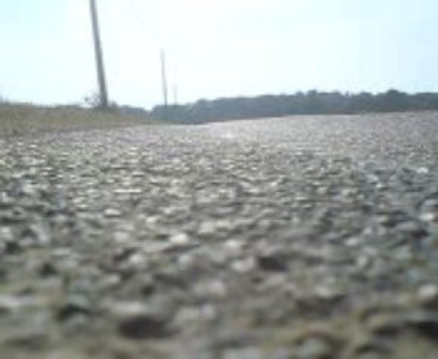 MOV02852