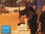 L'arrivée des chevaux au Salon du Cheval 2008 à Paris